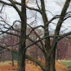 5 Поздняя осень.jpg